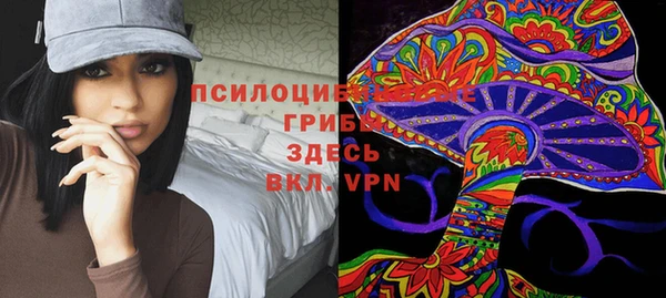 прущие крисы Балахна