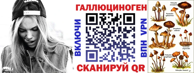Псилоцибиновые грибы мицелий  блэк спрут вход  Рудня 